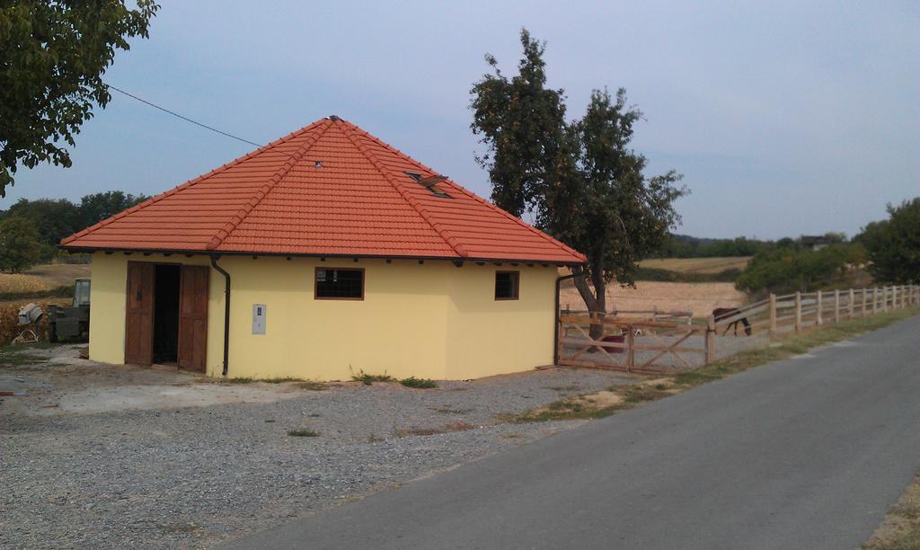 Rooms & Apartment Vinia Б'єловар Екстер'єр фото
