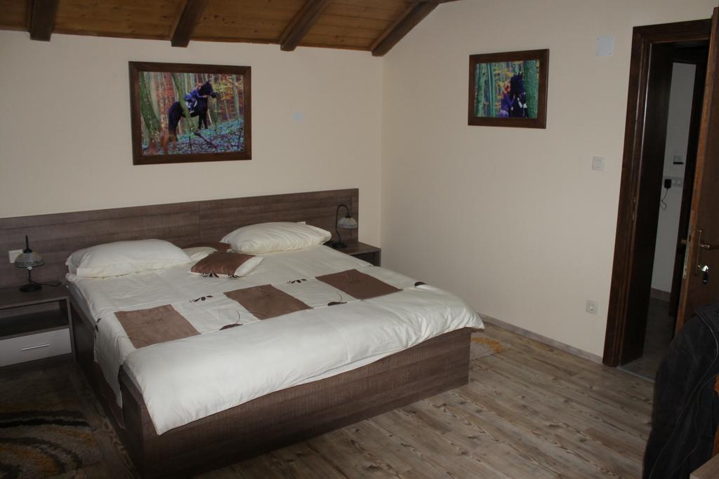 Rooms & Apartment Vinia Б'єловар Номер фото