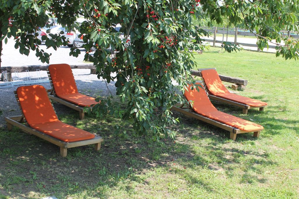 Rooms & Apartment Vinia Б'єловар Екстер'єр фото